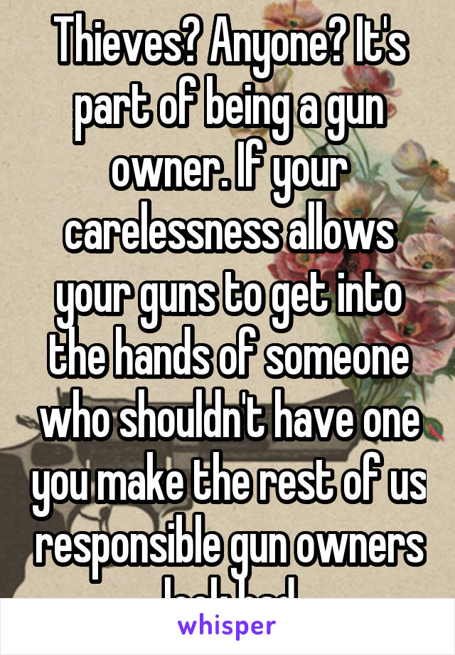 Thieves? Anyone? It's part of being a gun owner. If your carelessness allows your guns to get into the hands of someone who shouldn't have one you make the rest of us responsible gun owners look bad