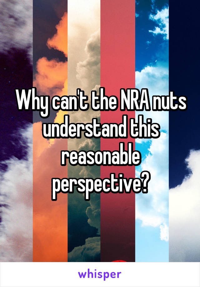 Why can't the NRA nuts understand this reasonable perspective?