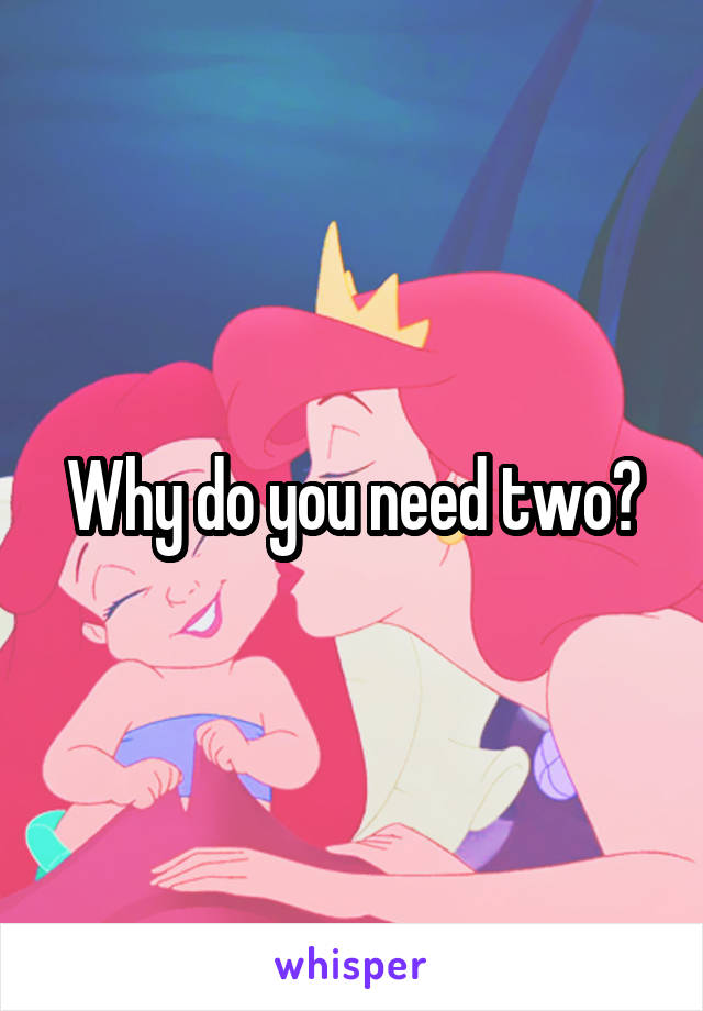 Why do you need two?