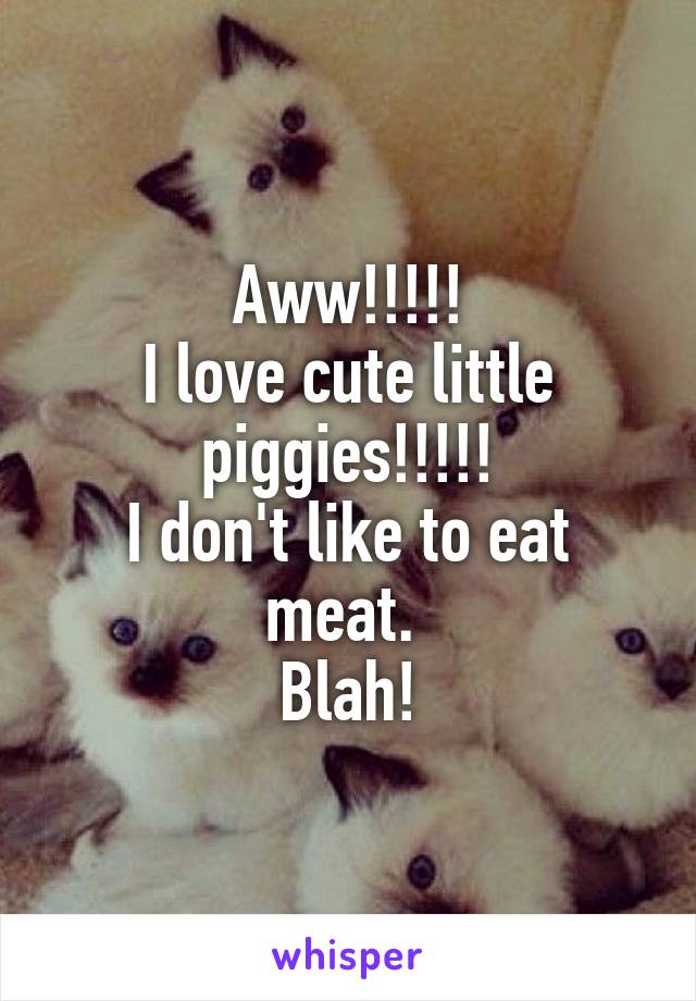 Aww!!!!!
I love cute little piggies!!!!!
I don't like to eat meat. 
Blah!
