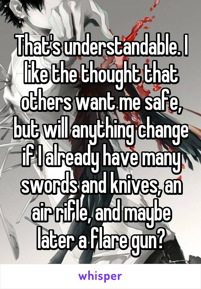 That's understandable. I like the thought that others want me safe, but will anything change if I already have many swords and knives, an air rifle, and maybe later a flare gun?