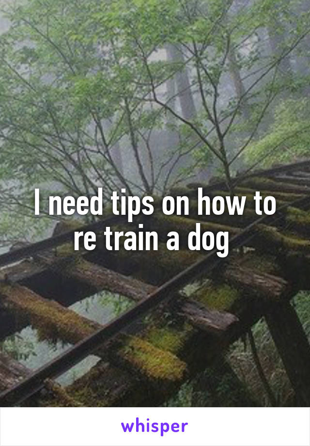 I need tips on how to re train a dog 