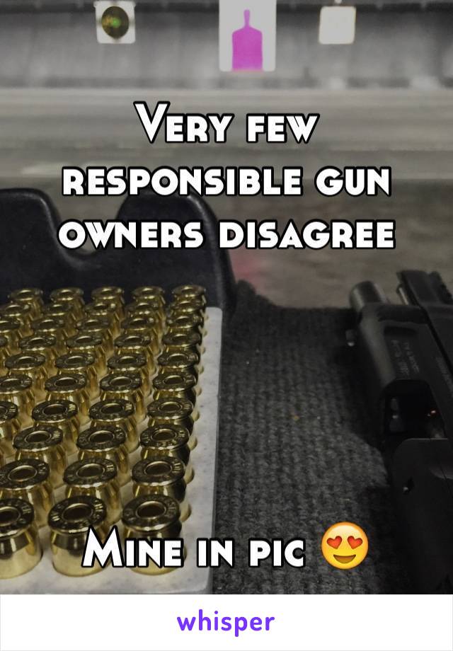 Very few responsible gun owners disagree





Mine in pic 😍