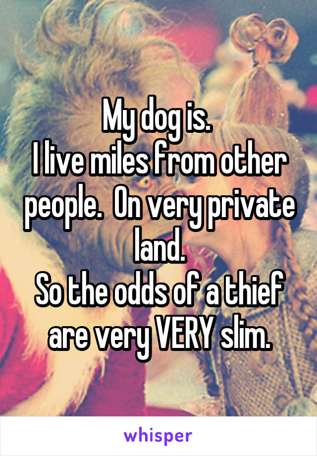 My dog is. 
I live miles from other people.  On very private land.
So the odds of a thief are very VERY slim.