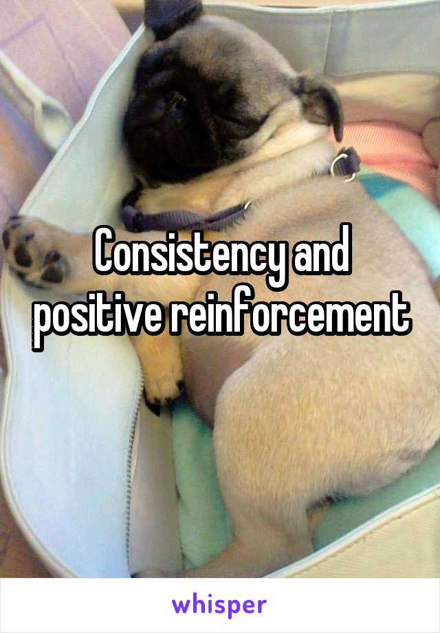 Consistency and positive reinforcement 