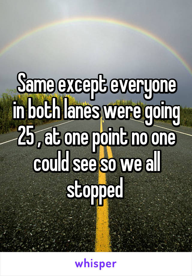 Same except everyone in both lanes were going 25 , at one point no one could see so we all stopped 