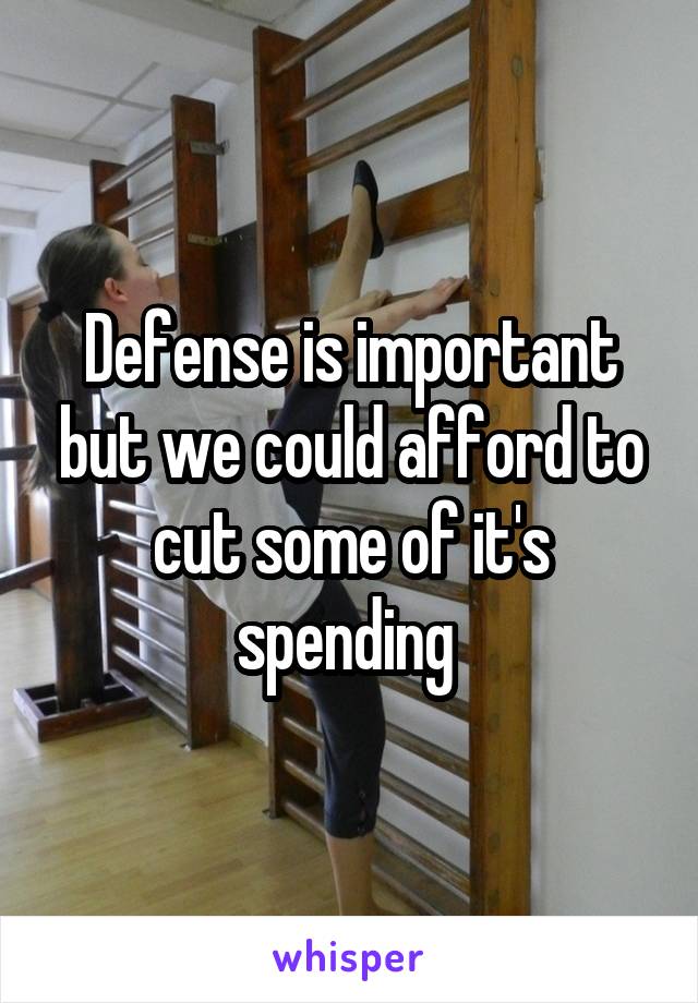 Defense is important but we could afford to cut some of it's spending 