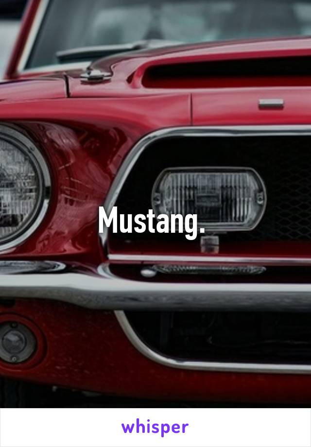Mustang. 