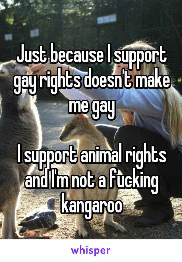 Just because I support gay rights doesn't make me gay

I support animal rights and I'm not a fucking kangaroo