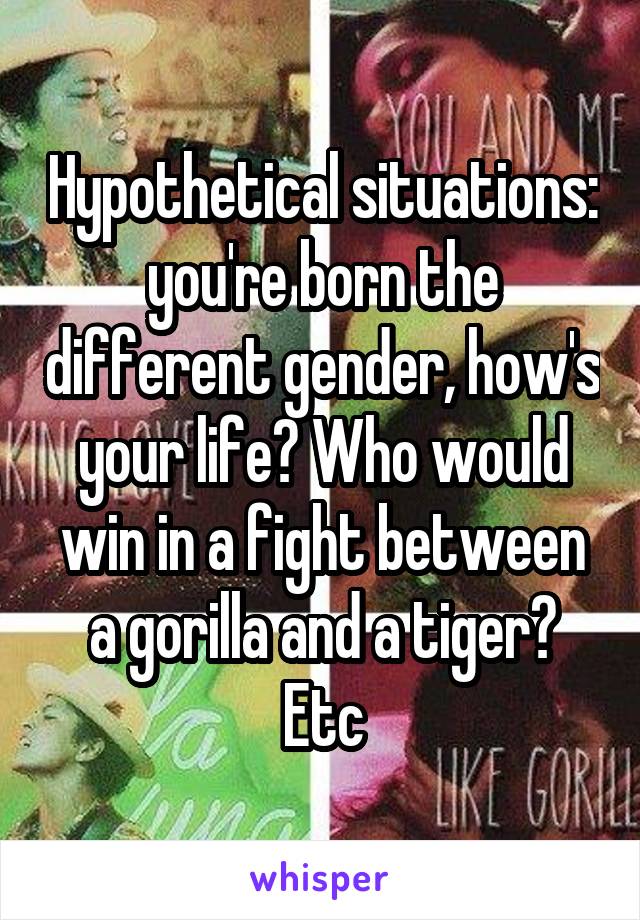 Hypothetical situations: you're born the different gender, how's your life? Who would win in a fight between a gorilla and a tiger? Etc