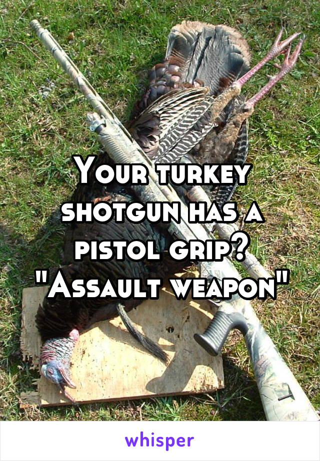 Your turkey shotgun has a pistol grip?
"Assault weapon"