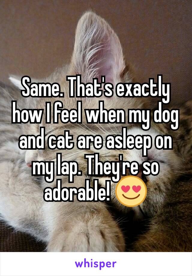 Same. That's exactly how I feel when my dog and cat are asleep on my lap. They're so adorable! 😍