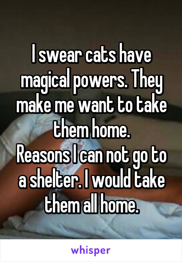 I swear cats have magical powers. They make me want to take them home.
Reasons I can not go to a shelter. I would take them all home.