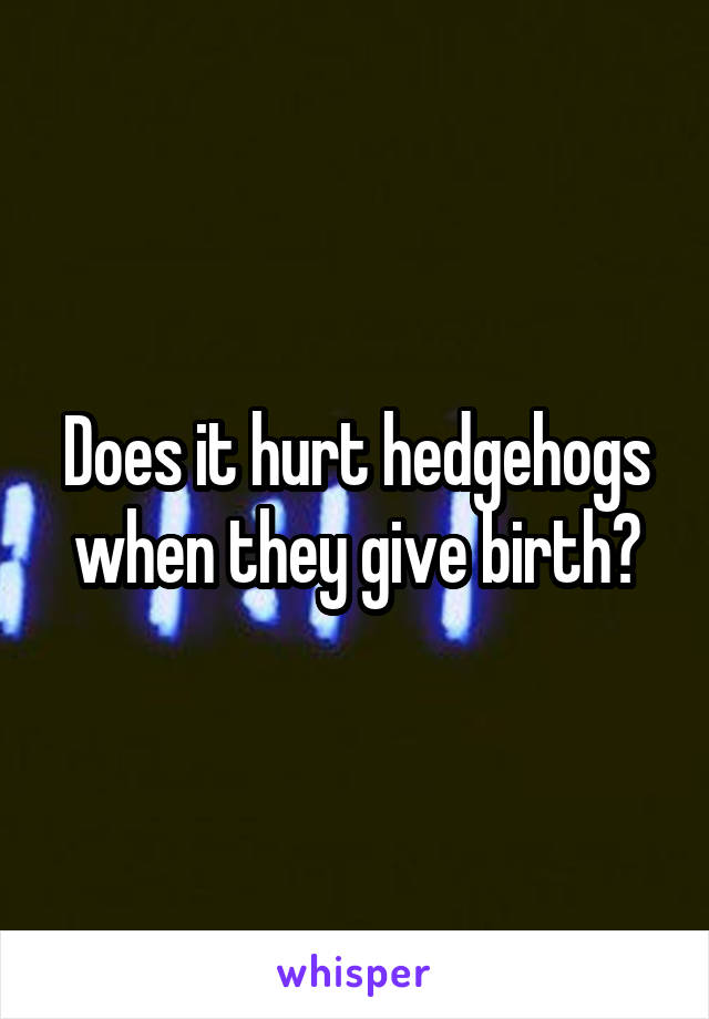Does it hurt hedgehogs when they give birth?