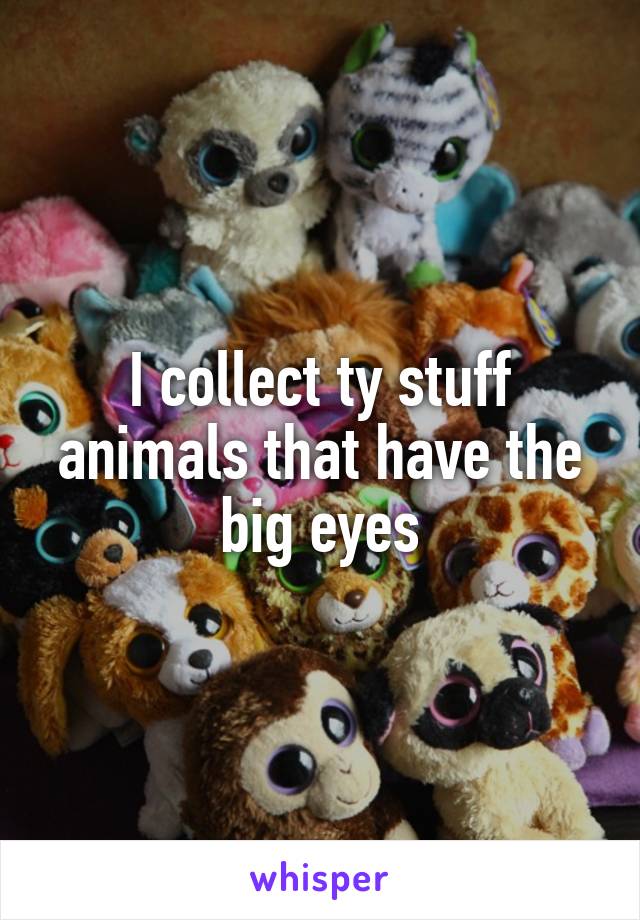 I collect ty stuff animals that have the big eyes