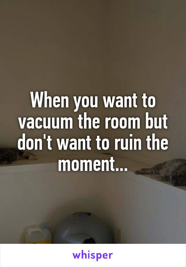 When you want to vacuum the room but don't want to ruin the moment...