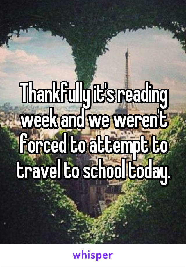 Thankfully it's reading week and we weren't forced to attempt to travel to school today.