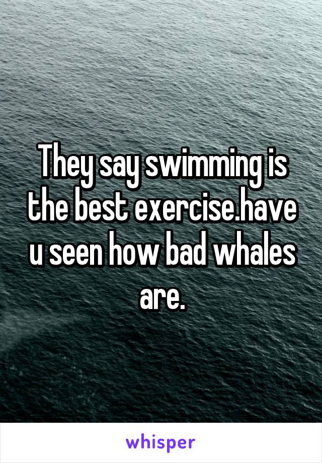They say swimming is the best exercise.have u seen how bad whales are.