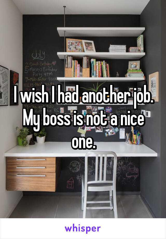 I wish I had another job. My boss is not a nice one.