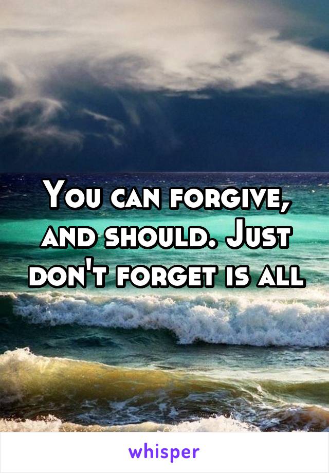 You can forgive, and should. Just don't forget is all