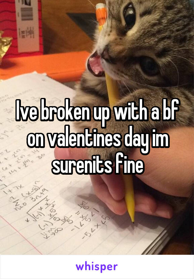 Ive broken up with a bf on valentines day im surenits fine