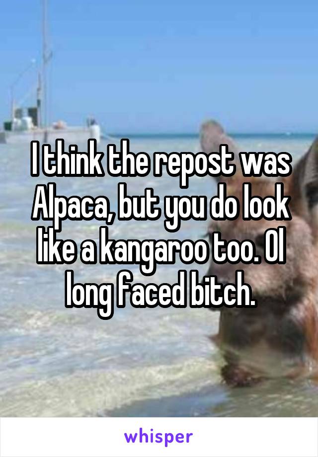 I think the repost was Alpaca, but you do look like a kangaroo too. Ol long faced bitch.