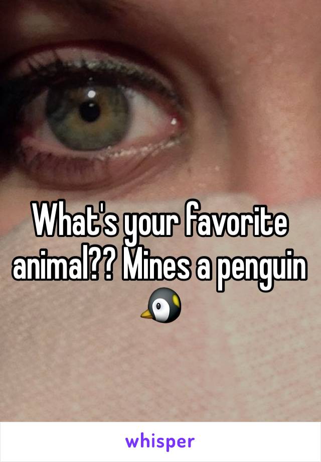 What's your favorite animal?? Mines a penguin
🐧