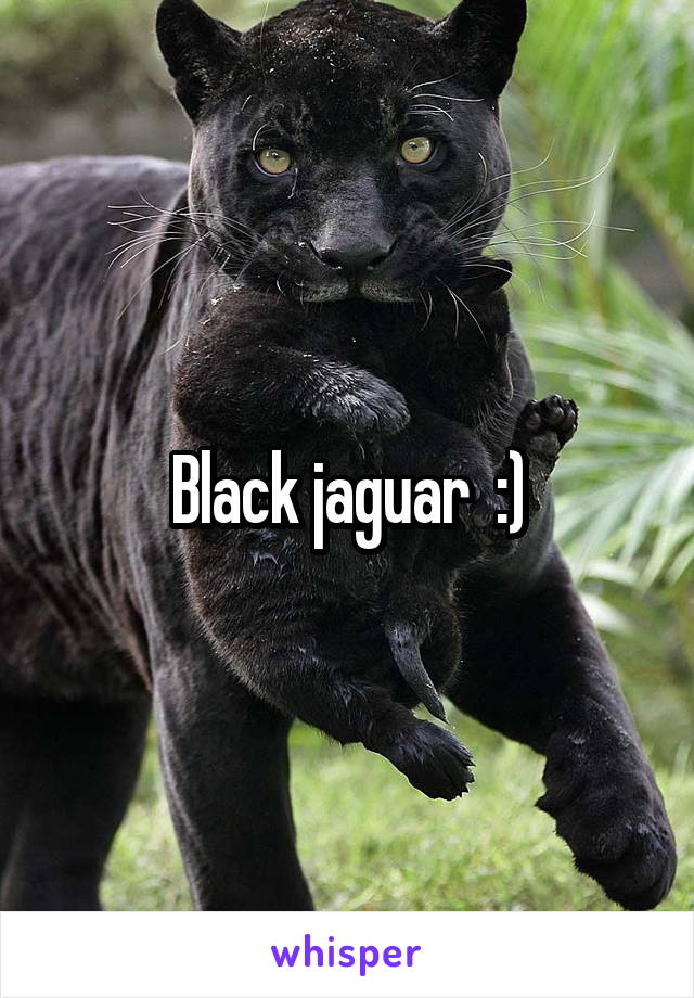 Black jaguar  :)
