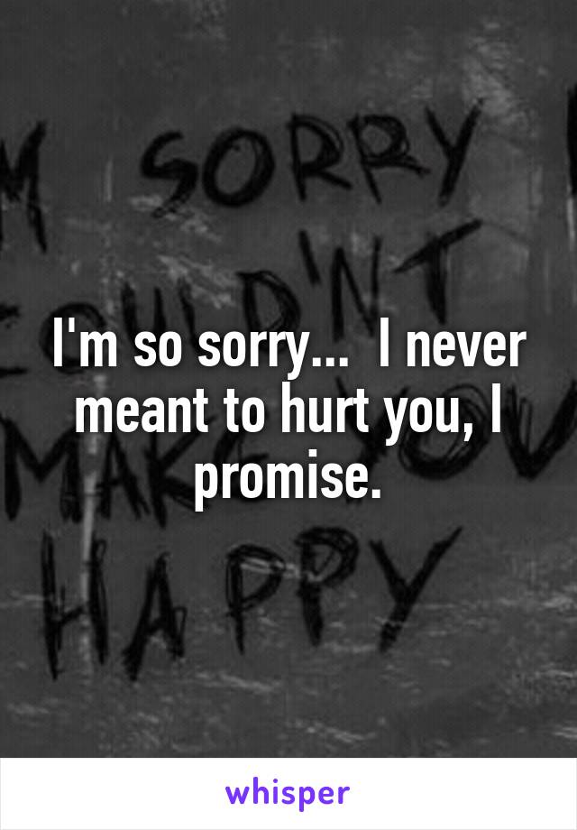 I'm so sorry...  I never meant to hurt you, I promise.