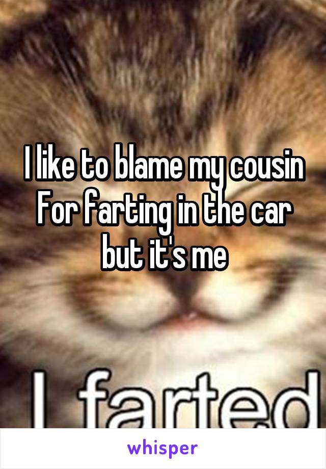 I like to blame my cousin
For farting in the car but it's me

