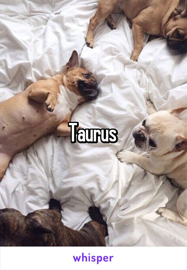 Taurus 