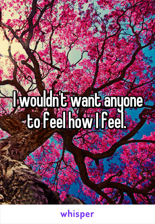I wouldn't want anyone to feel how I feel. 