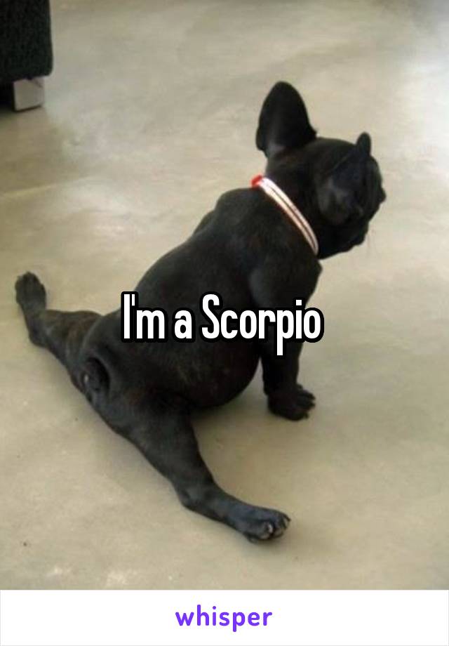 I'm a Scorpio 