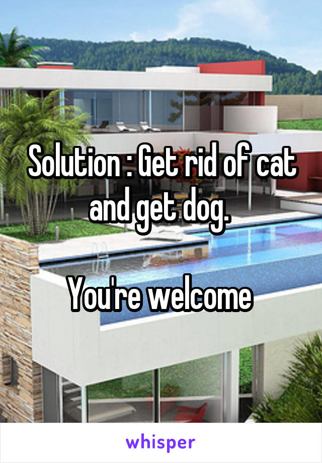 Solution : Get rid of cat and get dog. 

You're welcome 