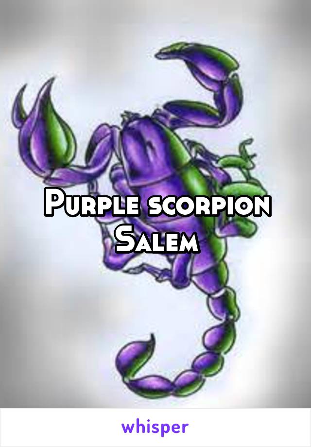 Purple scorpion Salem