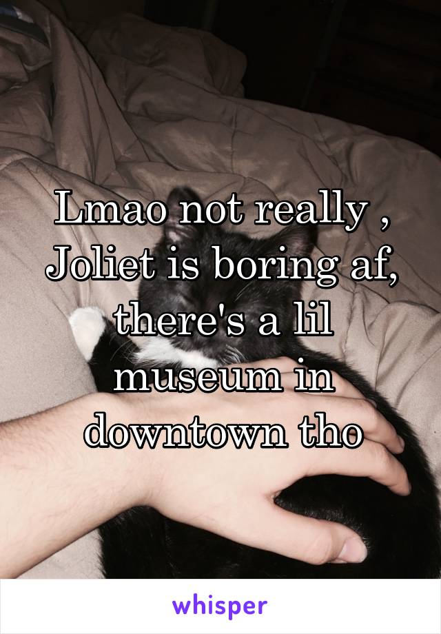 Lmao not really , Joliet is boring af, there's a lil museum in downtown tho