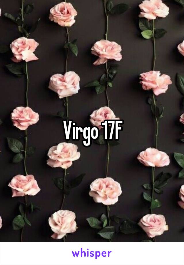 Virgo 17F