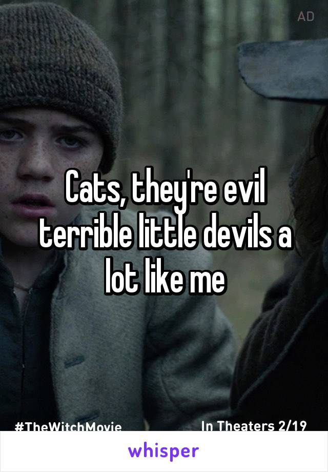 Cats, they're evil terrible little devils a lot like me