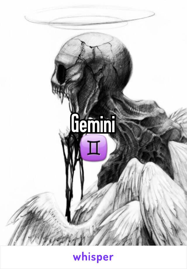 Gemini
♊