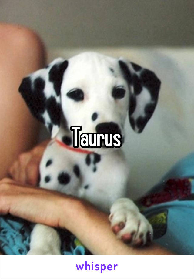 Taurus 