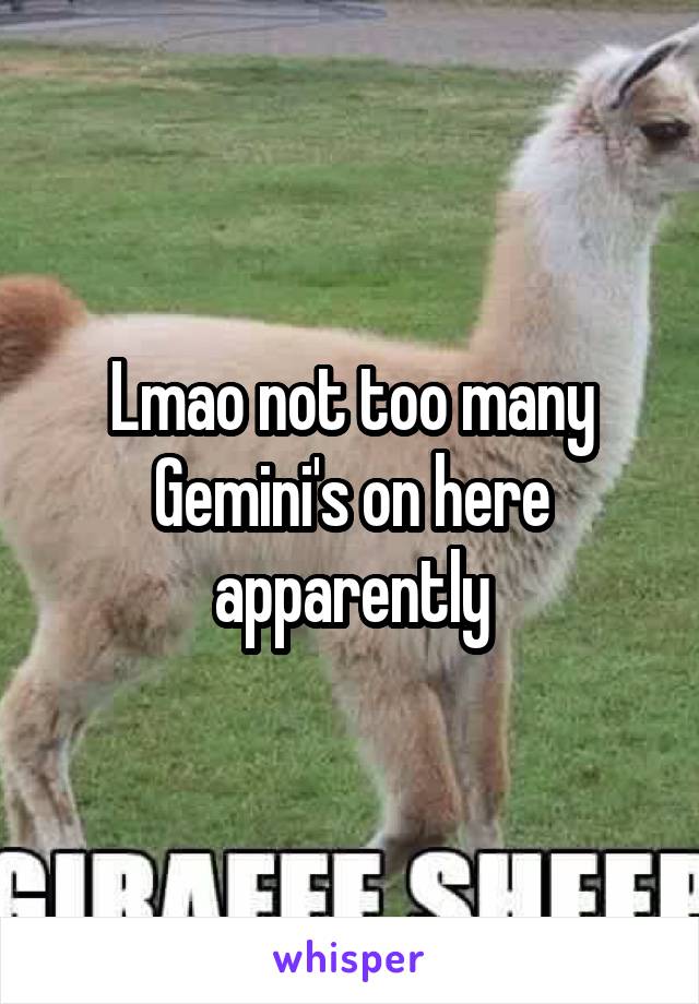 Lmao not too many Gemini's on here apparently