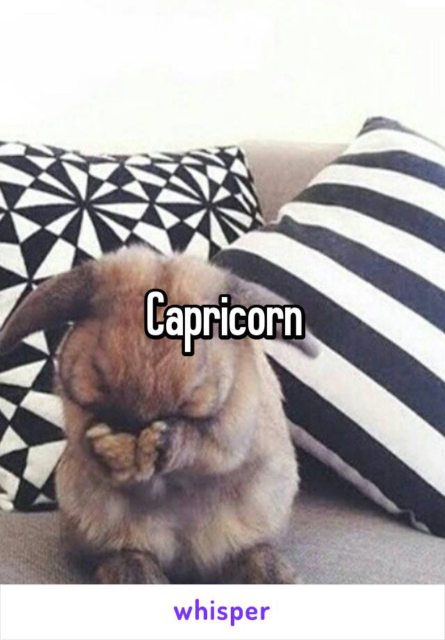 Capricorn