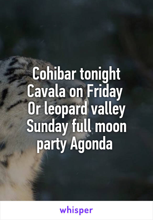 Cohibar tonight
Cavala on Friday 
Or leopard valley
Sunday full moon party Agonda 