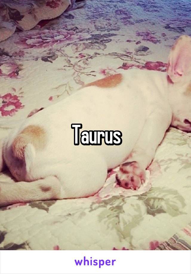 Taurus