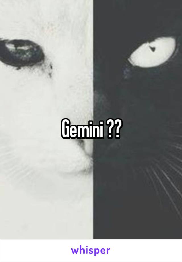 Gemini ♊️