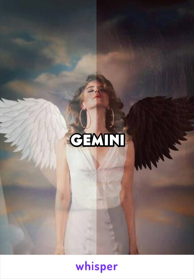 gemini