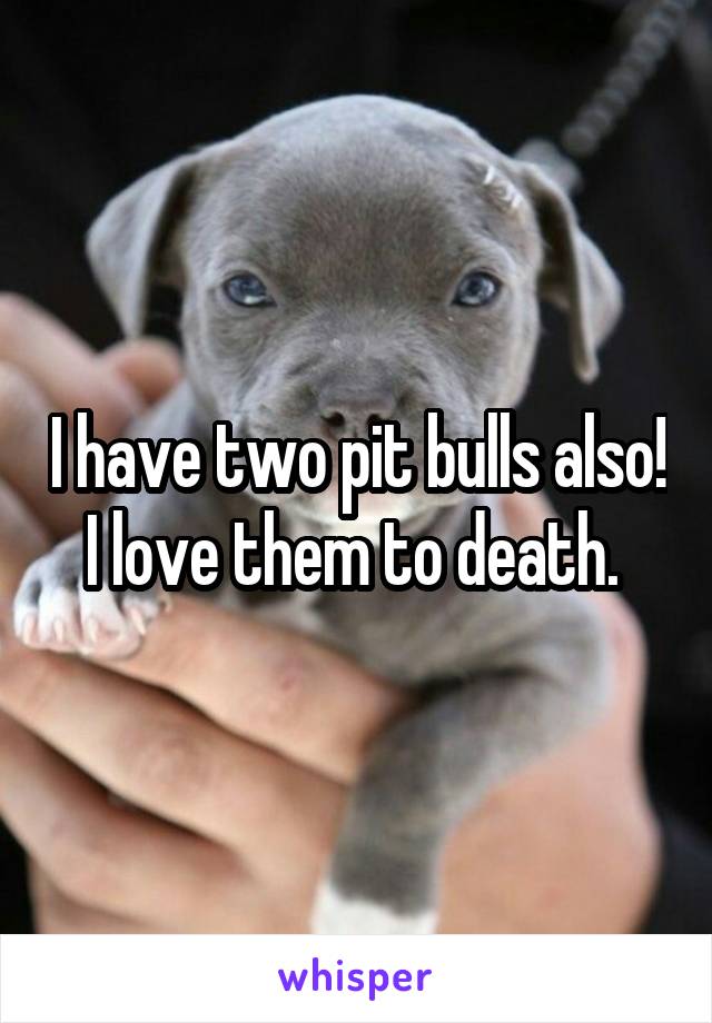 I have two pit bulls also! I love them to death. 