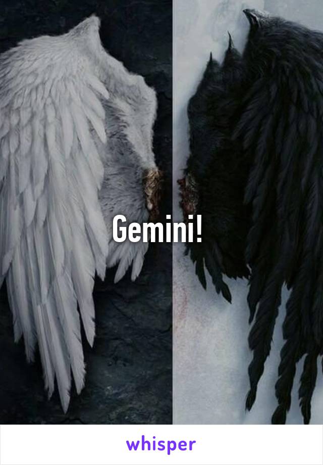 Gemini! 