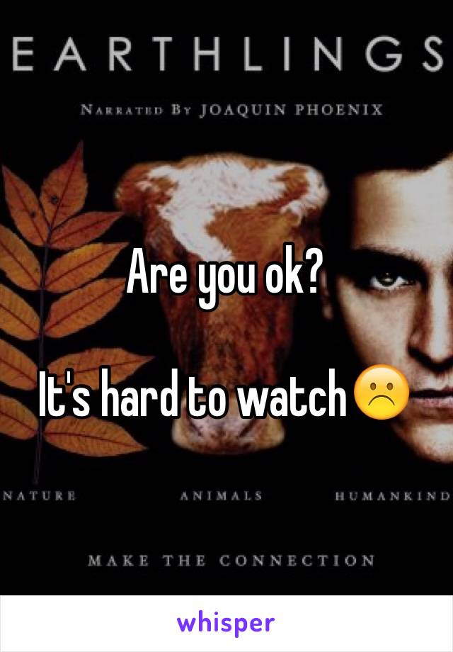 Are you ok?

It's hard to watch☹️