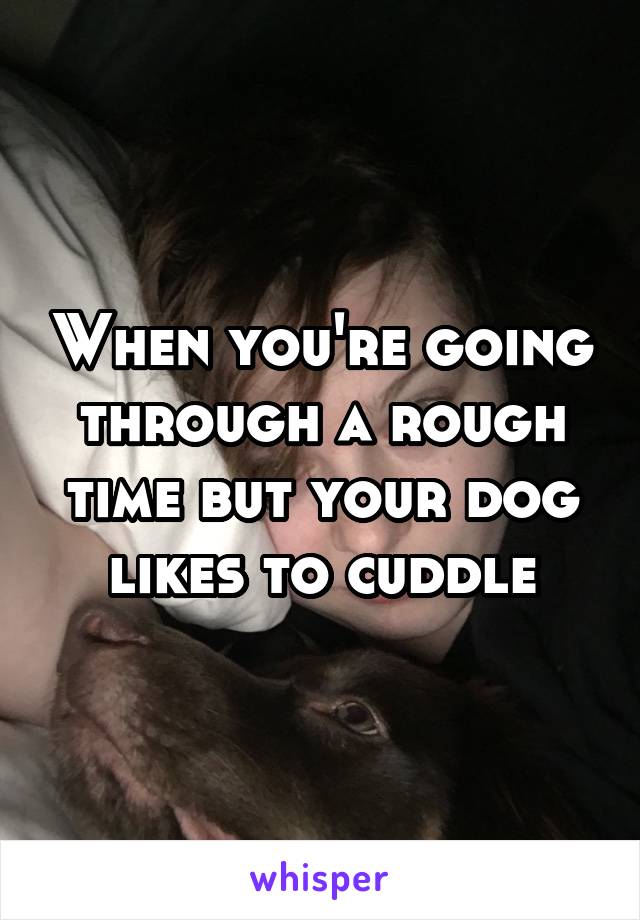 When you're going through a rough time but your dog likes to cuddle